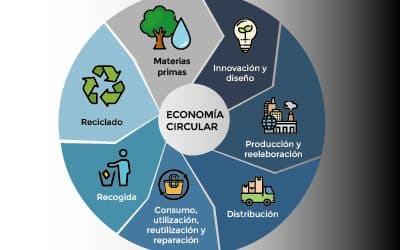 Economía circular: Definición, 7 Rs y su aplicación a nuestra gama IHI