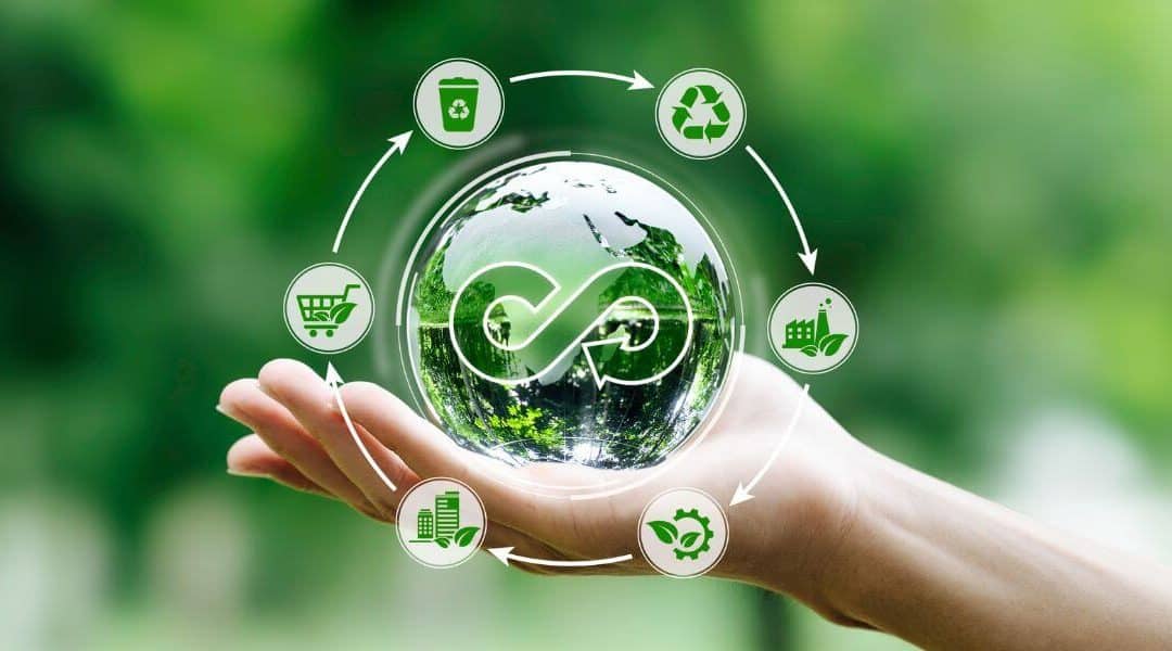 Economía circular: Qué es, 7 Rs y cómo aplicarla paso a paso