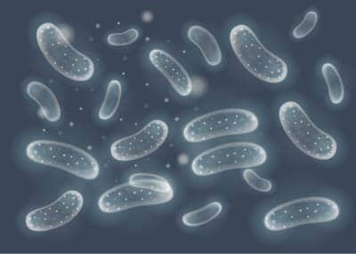 El test Bio Lp-1, un posible cambio de paradigma en las pruebas para la detección de Legionella