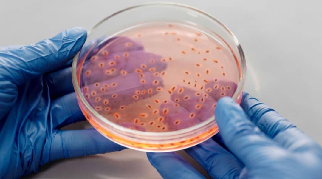 Últimas noticias sobre Nuevo RD Legionella 2021