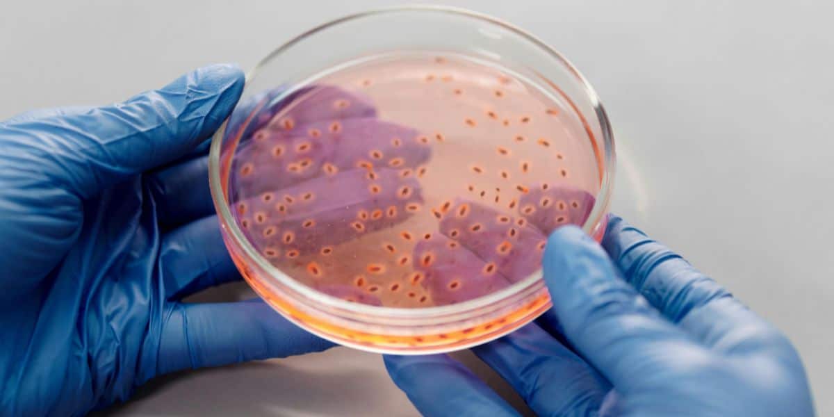 Imagen destacada - Últimas noticias sobre Nuevo RD Legionella 2021