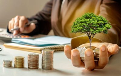Acumulación convencional vs Sistema IHI: ¿Cuál es más rentable?